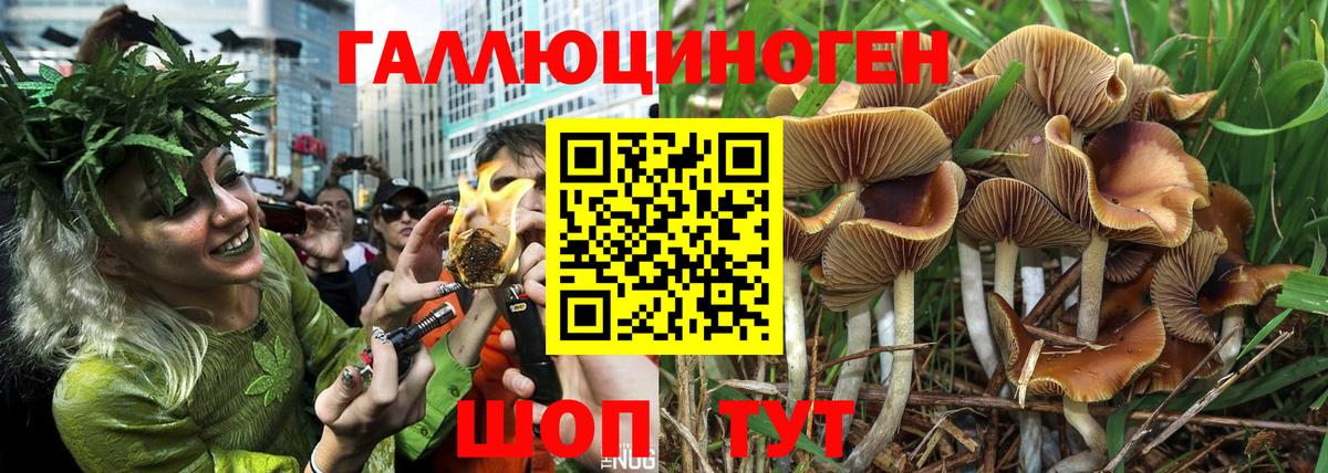 Галлюциногенные грибы мухоморы Белгород