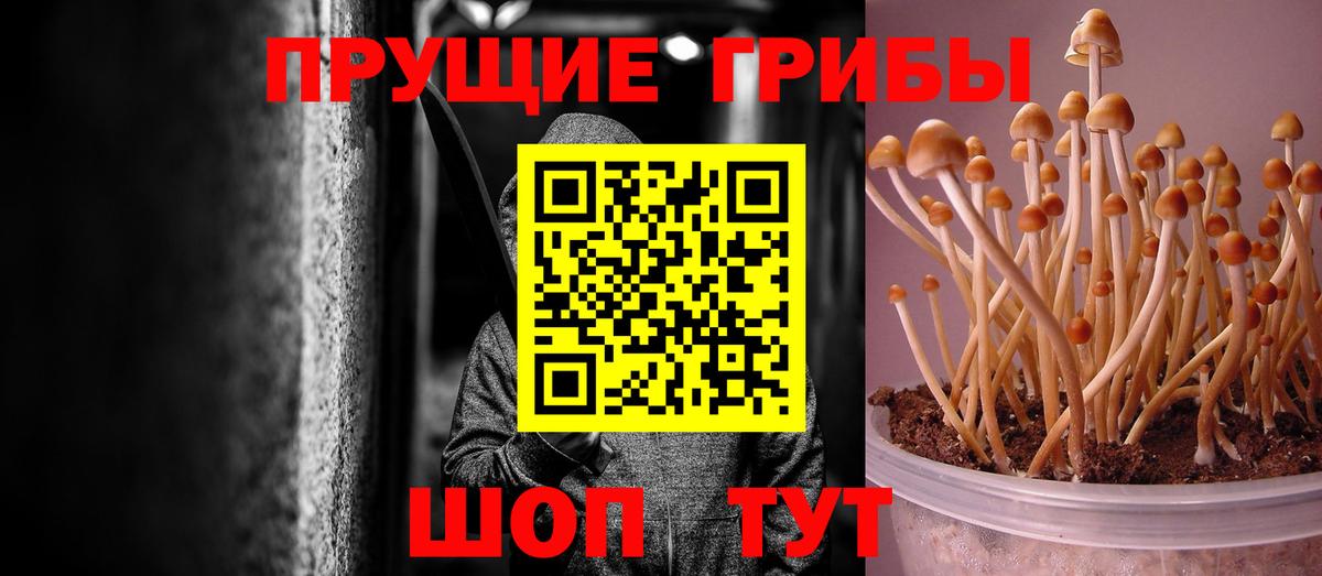 Галлюциногенные грибы Magic Shrooms  Галлюциногенные грибы мухоморы  Белгород  Вход с VPN 