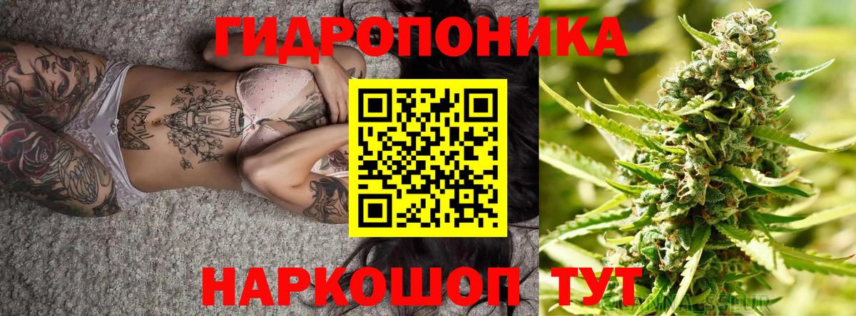МАРИХУАНА Amnesia  Вход с VPN  Бошки Шишки план  МАРИХУАНА Amnesia  Белгород  МАРИХУАНА MAZAR 